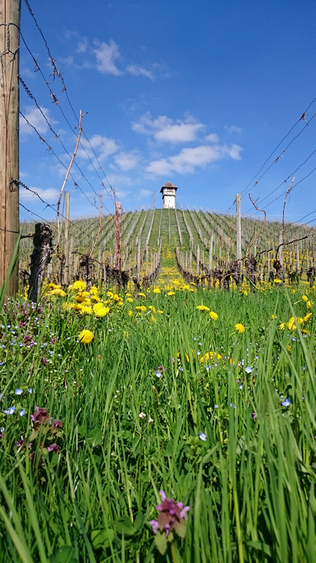 Photo La Fraternelle